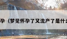 梦见怀孕（梦见怀孕了又流产了是什么预兆）