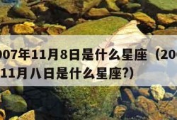 2007年11月8日是什么星座（2007年11月八日是什么星座?）