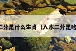 入木三分是什么生肖（入木三分是啥生肖）