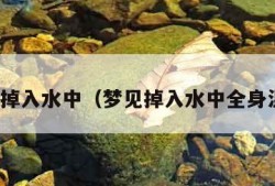 梦见掉入水中（梦见掉入水中全身湿透）