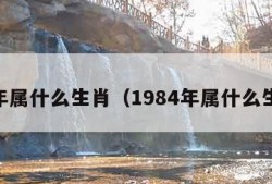 84年属什么生肖（1984年属什么生肖）