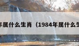 84年属什么生肖（1984年属什么生肖）