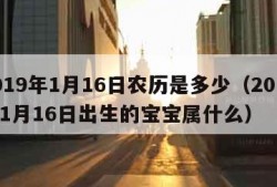 2019年1月16日农历是多少（2019年1月16日出生的宝宝属什么）