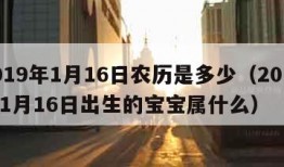 2019年1月16日农历是多少（2019年1月16日出生的宝宝属什么）