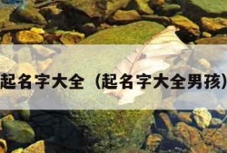 起名字大全（起名字大全男孩）