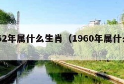 1962年属什么生肖（1960年属什么生肖）