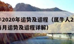 属牛2020年运势及运程（属牛人2024年每月运势及运程详解）