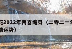 生肖蛇2022年两喜缠身（二零二一年生肖蛇感情运势）