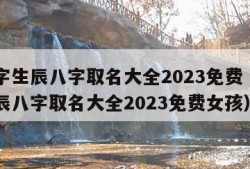 起名字生辰八字取名大全2023免费（起名字生辰八字取名大全2023免费女孩）