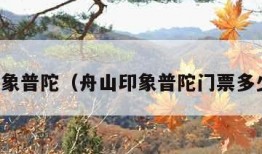 舟山印象普陀（舟山印象普陀门票多少一张）