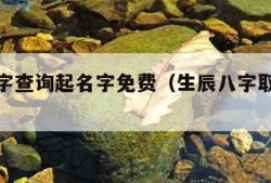 生辰八字查询起名字免费（生辰八字取名免费取名）