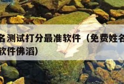 免费姓名测试打分最准软件（免费姓名测试打分最准软件佛滔）