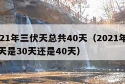 2021年三伏天总共40天（2021年三伏天是30天还是40天）