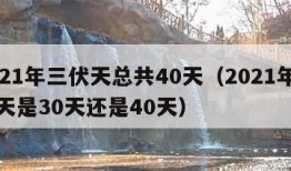 2021年三伏天总共40天（2021年三伏天是30天还是40天）