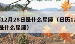 新历12月28日是什么星座（日历12月28日是什么星座）