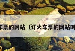 订火车票的网站（订火车票的网站叫什么）