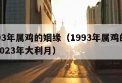 1993年属鸡的姻缘（1993年属鸡的姻缘2023年大利月）