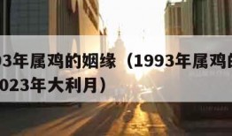 1993年属鸡的姻缘（1993年属鸡的姻缘2023年大利月）