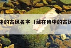 藏在诗中的古风名字（藏在诗中的古风名字男生）