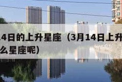 3月14日的上升星座（3月14日上升星座是什么星座呢）