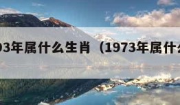 1993年属什么生肖（1973年属什么生肖）