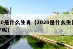 2020是什么生肖（2020是什么生肖本命年呢）