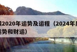 属猴2020年运势及运程（2024年属猴的运势和财运）